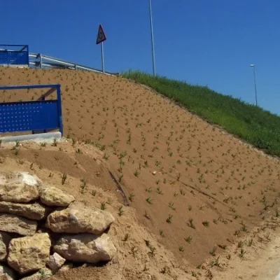Environmental impact corrective measures. 2nd phase duplication. Tortosa-interchange. Campredó. route C-42. section: Tortosa-l'Aldea.